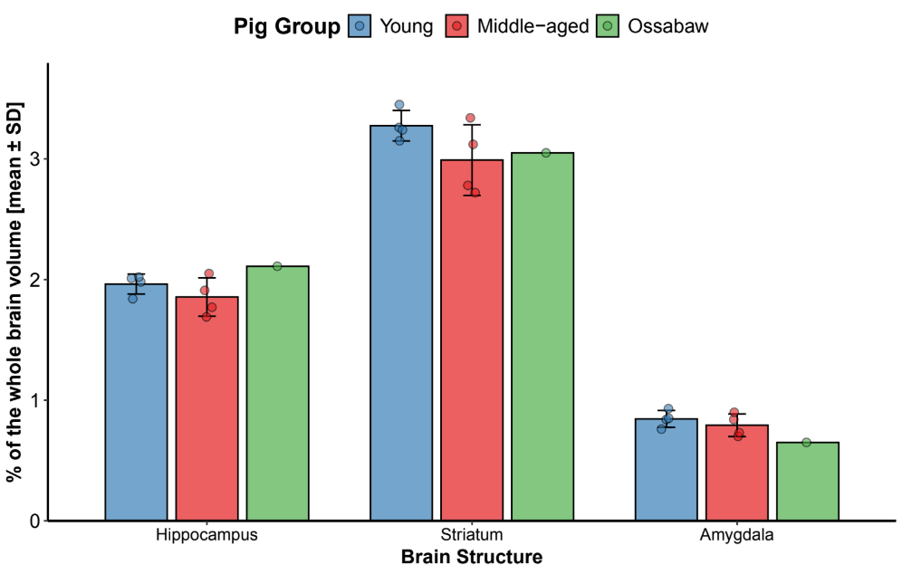  Segmentation in percent of  whole brain volumes of  three brain regions (hippocampus, striatum, and amygdala) in the middle-aged Göttingen minipigs (N=4), young adult Göttingen minipigs (N=4), and Ossabaw pig (N=1). Data means + S.D.
